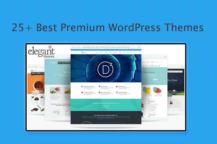 Best Wordpress Premium Theme